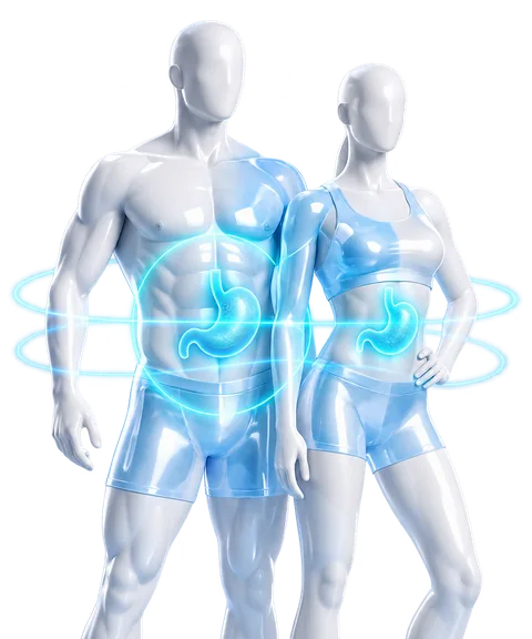 Representación visual del metabolismo y el bienestar
